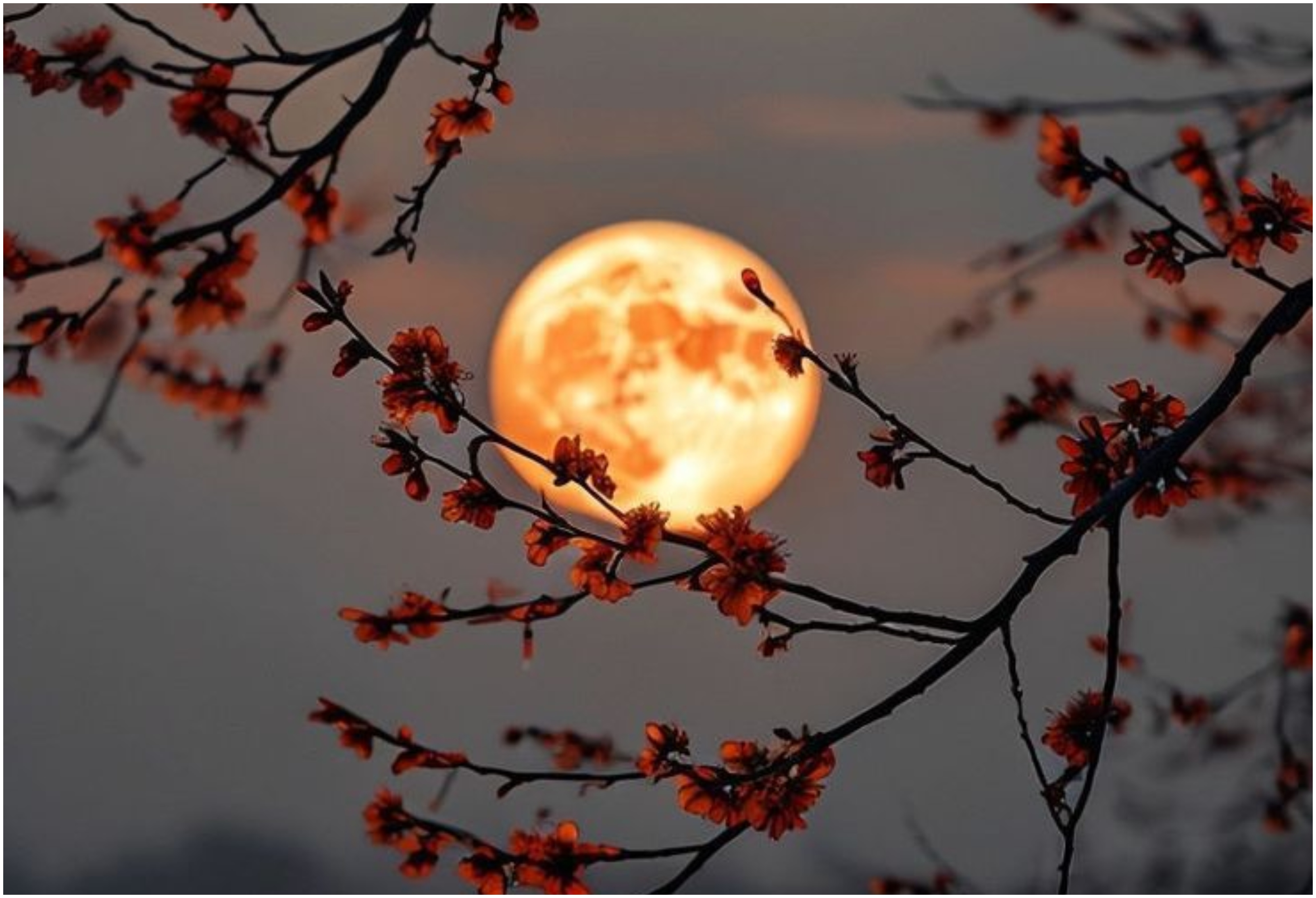 Ζώδια 1/3: Ημέρα αναθεώρησης και εσωτερικής ισορροπίας — Τι προβλέπεται για κάθε ζώδιο;