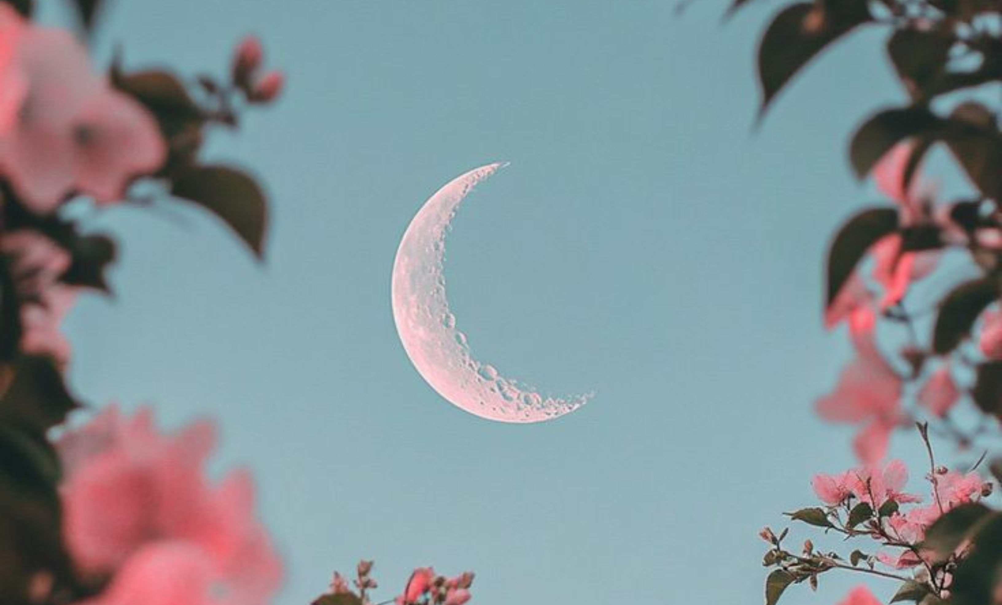 Ζώδια 4/3: Η ημέρα δίνει ευκαιρίες για ξεκαθαρίσματα – Τι προβλέπεται για κάθε ζώδιο