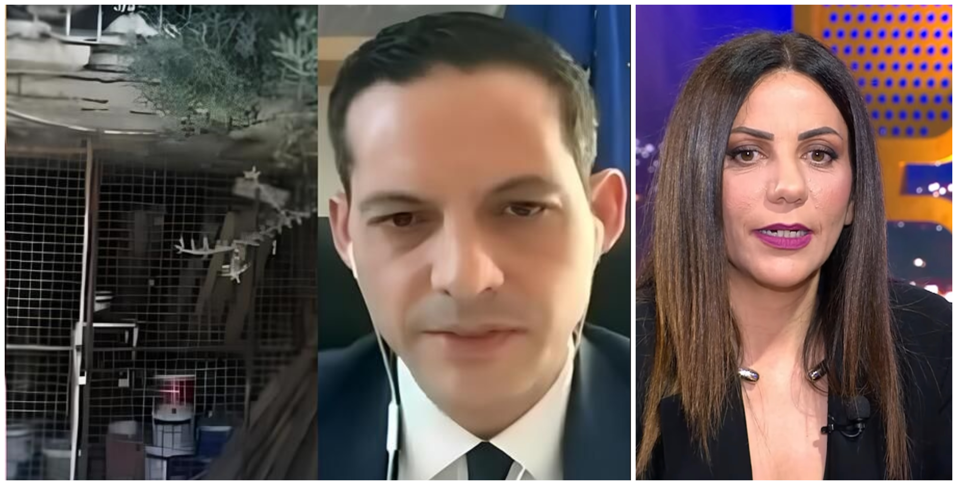 Αγαπητού: Ξεκαθαρίζει για τον «γουμά της γιαγιάς της» και το σκηνικό με Λετυμπιώτη (ΒΙΝΤΕΟ)