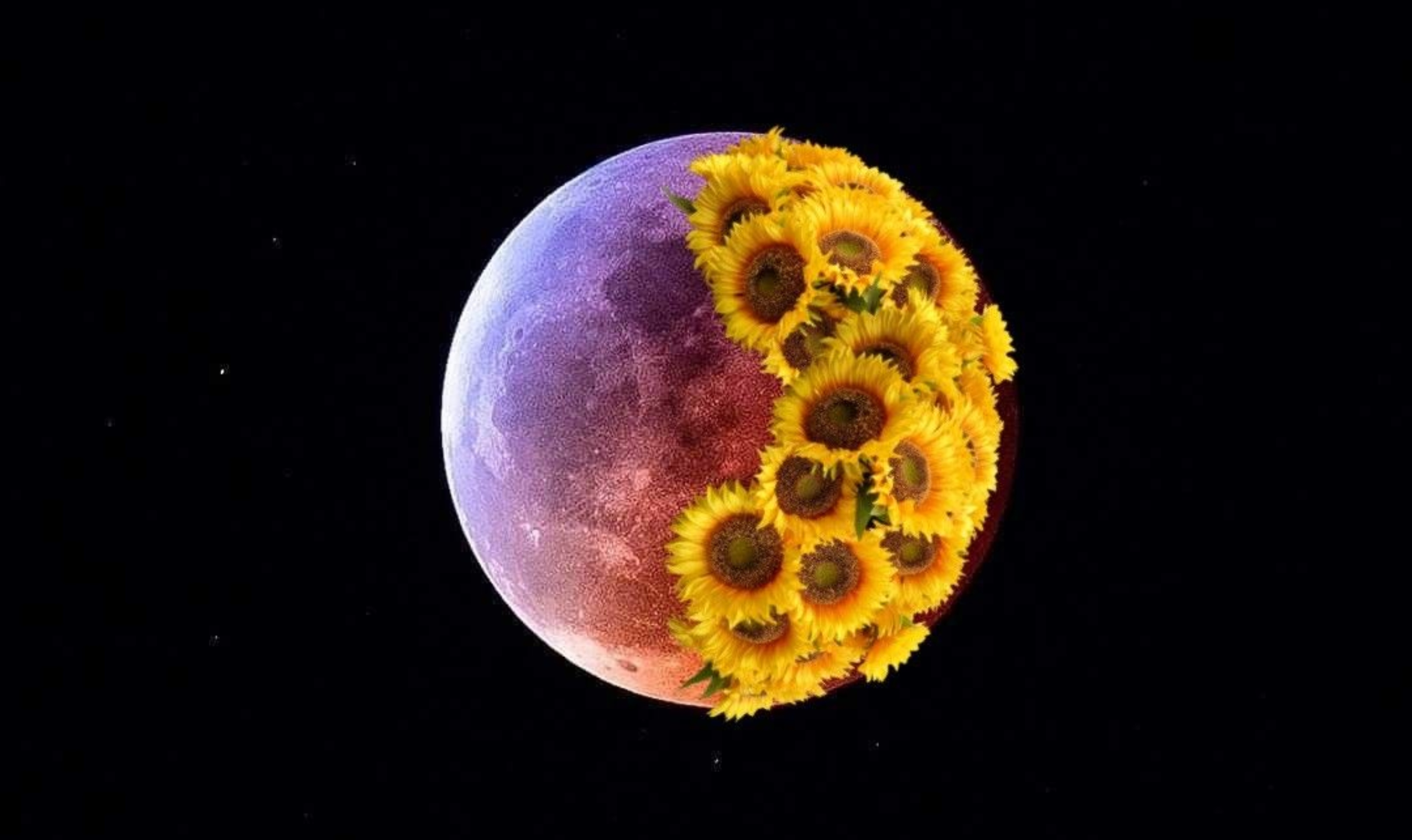 Ζώδια (17/4): Συναισθηματικά, υπάρχει μια τάση για εμβάθυνση – Τι προβλέπεται για κάθε ζώδιο