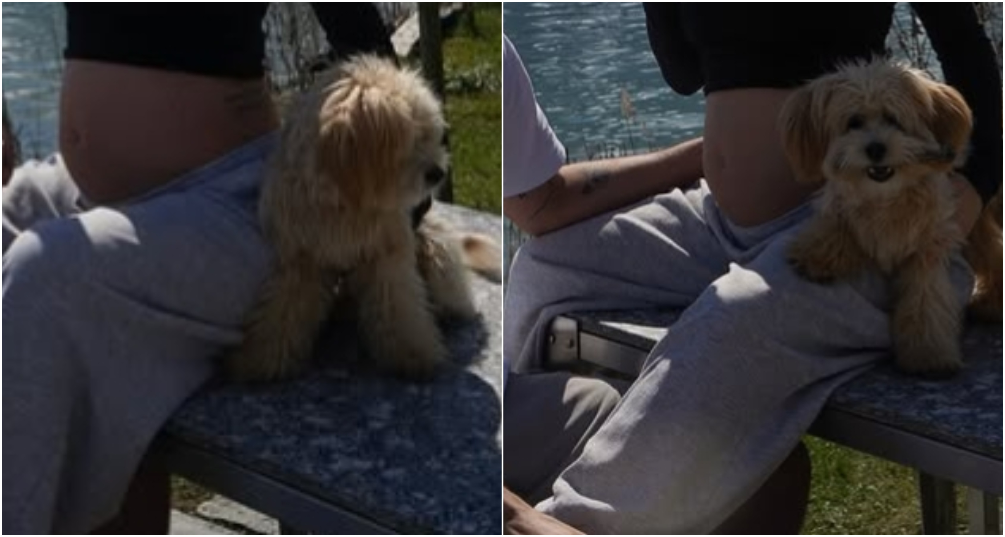 Έγκυος στο πρώτο της παιδί πασίγνωστη Ελληνίδα influencer (ΦΩΤΟ)