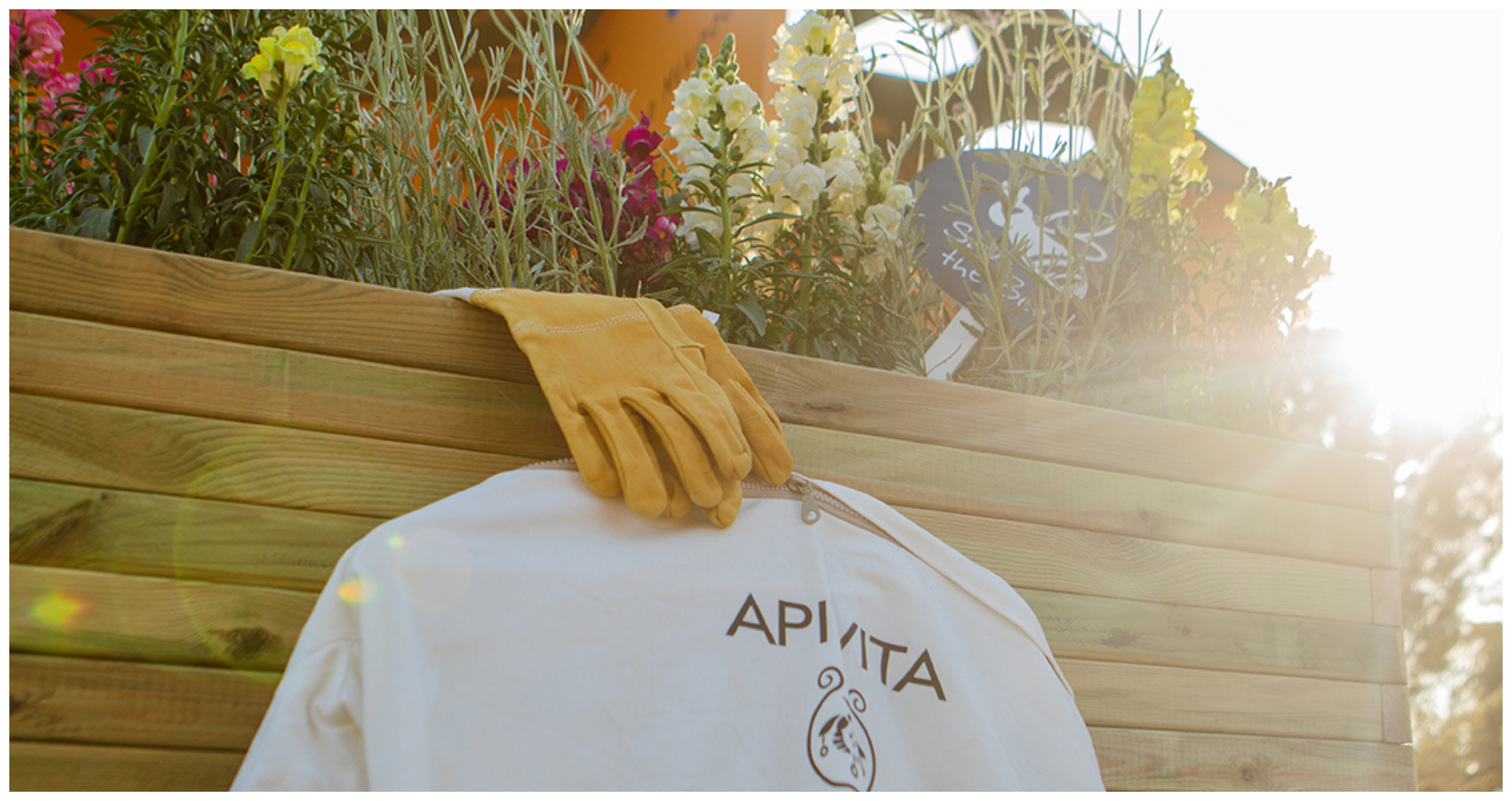 Η APIVITA γιορτάζει την Παγκόσμια Ημέρα Μέλισσας με το Billion Bees Program!