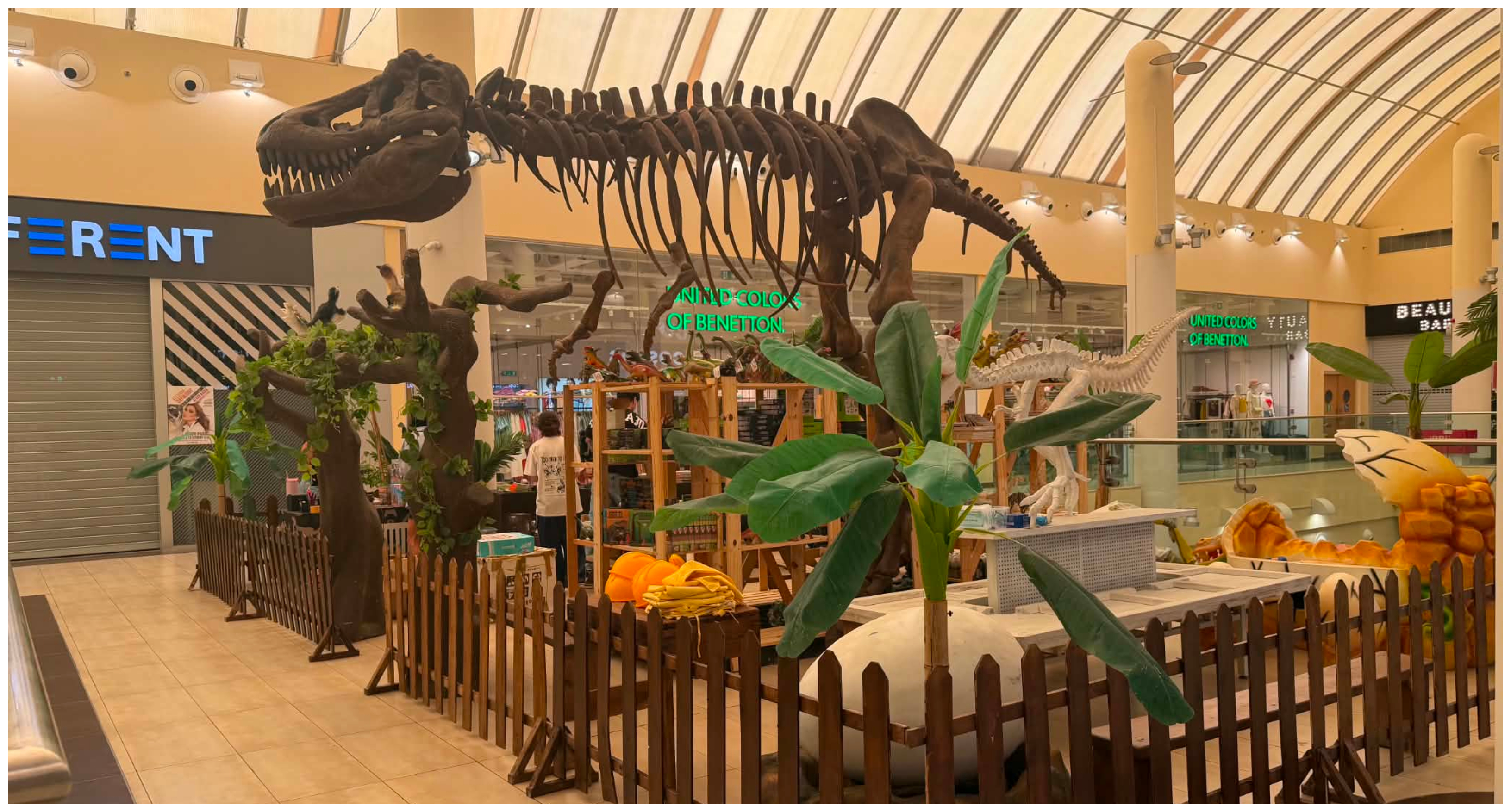 Γίνε Παλαιοντολόγος για μια Ημέρα στο My Mall Limassol!