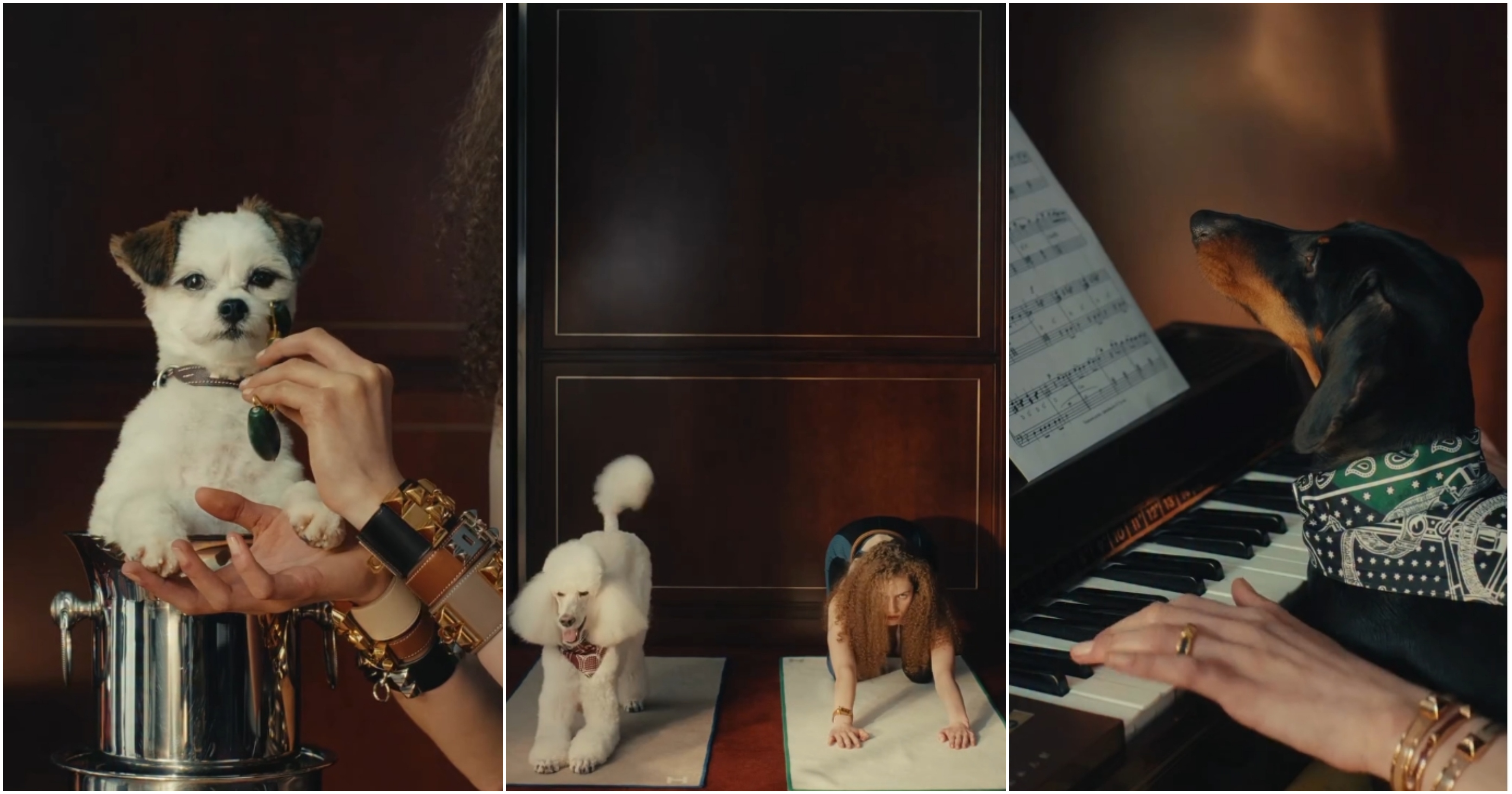 Hermès: Bάζει τους πιο cute και στιλάτους σκύλους στο επίκεντρο της νέας της καμπάνιας