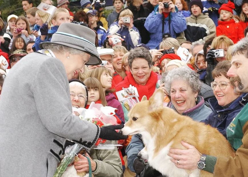 Ποιο μέλος της βασιλικής οικογένειας θα κληρονομήσει τα πολύτιμα σκυλάκια corgi της βασίλισσας;