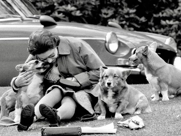 Τι απέγιναν τα αγαπημένα σκυλιά της βασίλισσας Ελισάβετ – Οι σπάνιες φωτογραφίες μαζί τους